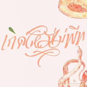 เกิดใหม่ไม่พีท (Explicit)