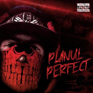 PLANUL PERFECT (Explicit)