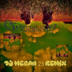 Ich und Du und DJmegan23 (feat. DJmegan23)