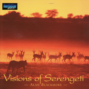 Visions Of Serengeti