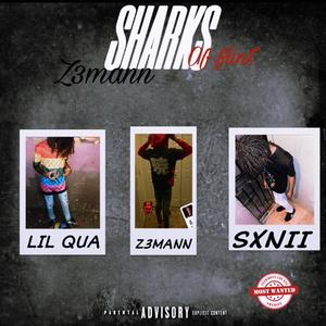 Ahhh haa (feat. SXNII) (Explicit)