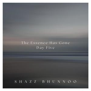 The Essence Has Gone (Day Five)