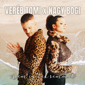 Nem ígérek semmit