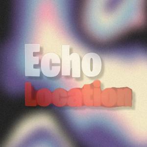 Echo Location (Explicit)