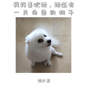 我好喜欢她，她还有一只白色的狗子 (伴奏)