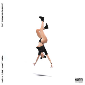 **** (Mangy Music Rmx|Explicit)