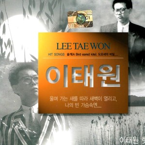 Lee Tae Won Hit Song (이태원 히트송)