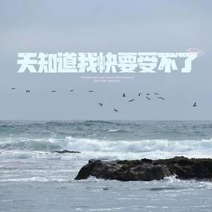 天知道 (我快要受不了)