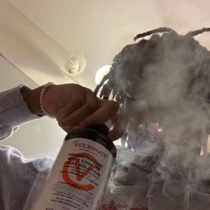 Paid Lawyer (Explicit)