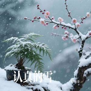 认真的雪-飞雪传奇
