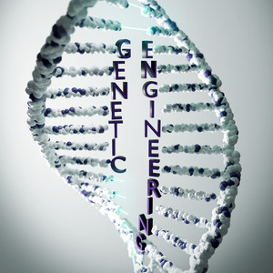 Genetic Engineering