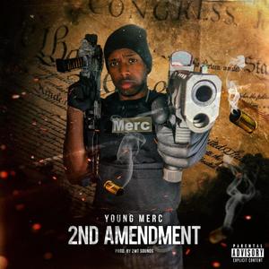 2nd Amendment (Explicit)