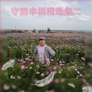 天上的花封面