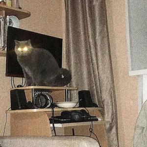 hashtag I'm ****ed (Explicit)