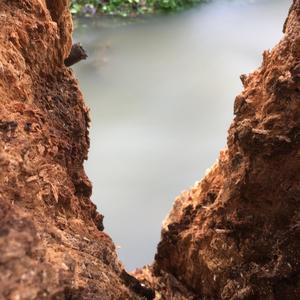 we can never know what another is up to