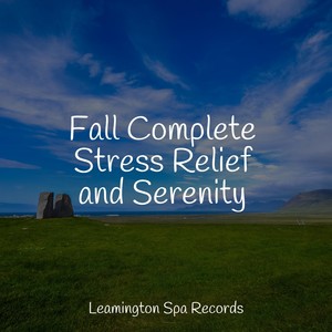 Fall Complete Stress Relief and Serenity