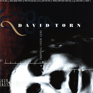 Dr. 8 The Bird You Sang