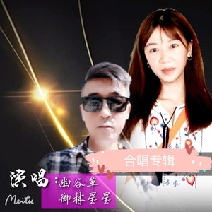等不来的风