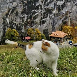 existential loneliness(feat. rehllik) (Explicit)