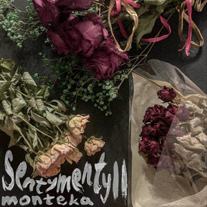 SENTYMENTY II (Explicit)