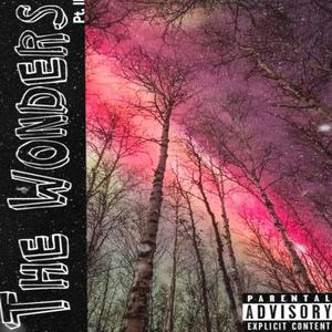 The Wonders Pt.II(feat. OyVay) (Explicit)