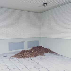 Can't Join The Speedtribes