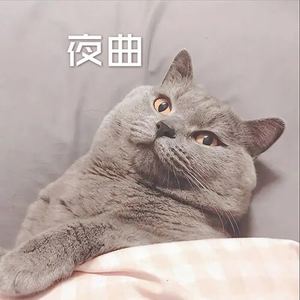 雪落下的声音-安阳
