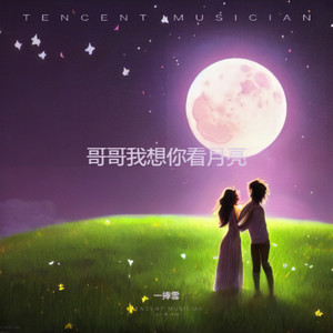 哥哥我想你看月亮