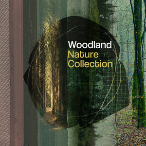 Woodland Nature Collection