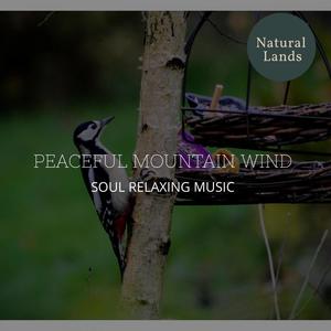 Peaceful Mountain Wind - Soul Relaxing Music