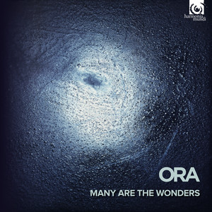 Many are the Wonders - Many are the Wonders (西方宗教音乐《奇事甚多》)