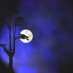 再见二丁目-钢琴版