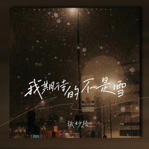我期待的不是雪 (而是有你的冬天)
