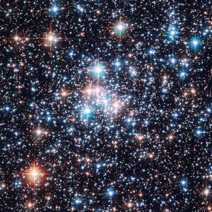 HER (feat. Carvie P) (Remix|Explicit)