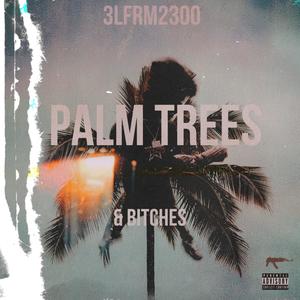 Palm trees & bit*hes (Explicit)