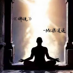 玄了武了盾