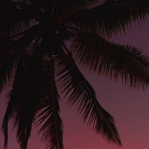 Midnight Sun (Explicit)