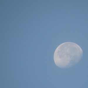 VIBE DIFFERENT (Remastered 2024|Explicit)