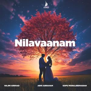 Nilavaanam (feat. Najim Arshad)