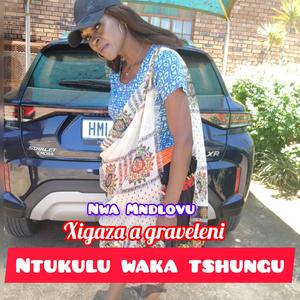 Nwa Mndlovu (Teka kunene Remixx)