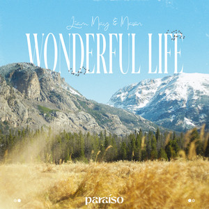 Wonderful Life