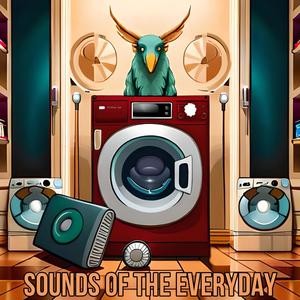 SOUNDS OF THE EVERYDAY (Explicit)