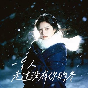 一个人走过没有你的冬