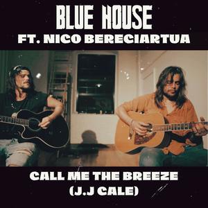 Call Me The Breeze (feat. Nico Bereciartua) (Live Acoustic)