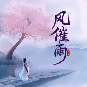 风催雨 (DJ降调版)