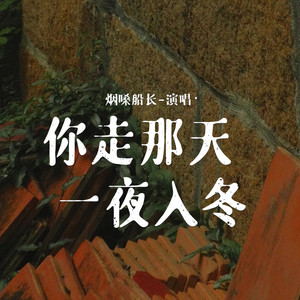 你走那天一夜入冬