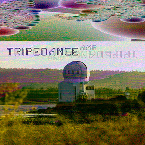 ambtripedance B1