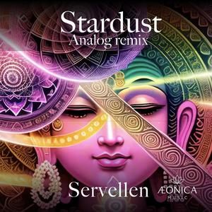 Stardust (Analog Remix)