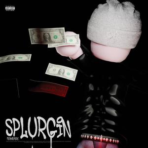 Splurgin (feat. zakaryamesrar) [Explicit]