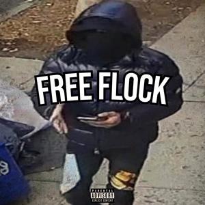 FREE FLOCK (feat. Dougie) (Explicit)